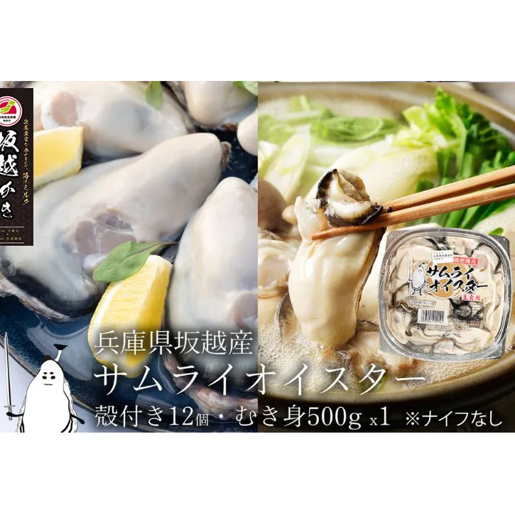 牡蠣 生食 坂越かき むき身 500g×1、 殻付き 12個【ナイフなし】サムライオイスター かき 生牡蠣 兵庫県 赤穂市 魚貝類 