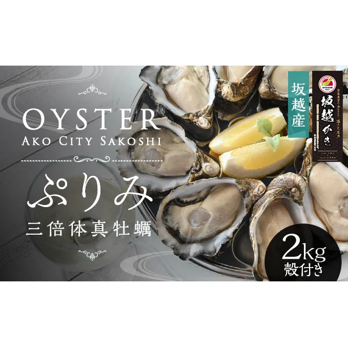 【数量限定】年中おいしい！生食用真牡蠣『ぷりみ』2kg(ナイフ付き) カキ マガキ かき 殻付き 赤穂 養殖 夏も食べられる 魚貝類 生牡蠣 