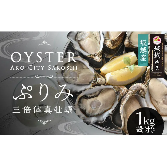 【数量限定】年中おいしい！生食用真牡蠣『ぷりみ』1kg(ナイフ付き) カキ マガキ かき 殻付き 赤穂 養殖 夏も食べられる 魚貝類 生牡蠣 