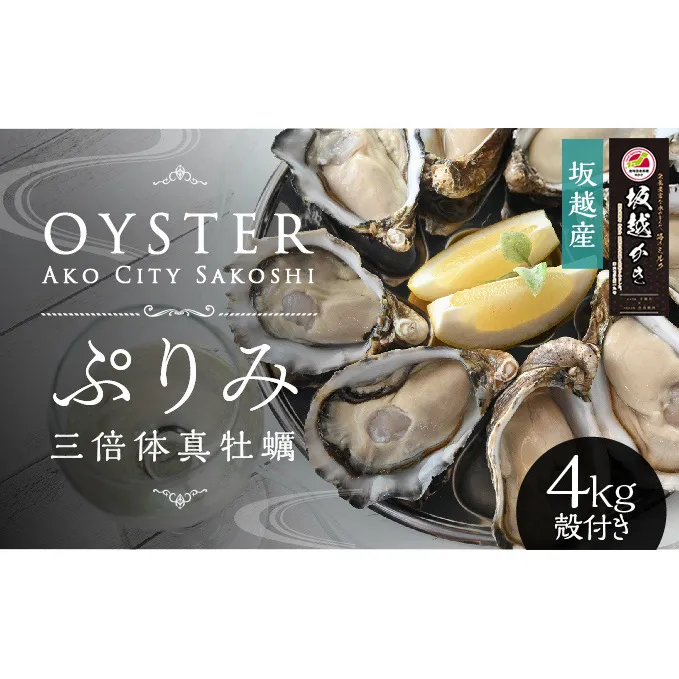 【数量限定】年中おいしい！生食用真牡蠣『ぷりみ』4kg(ナイフ付き) 4kg カキ マガキ かき 殻付き 赤穂 養殖 夏も食べられる 魚貝類 生牡蠣 
