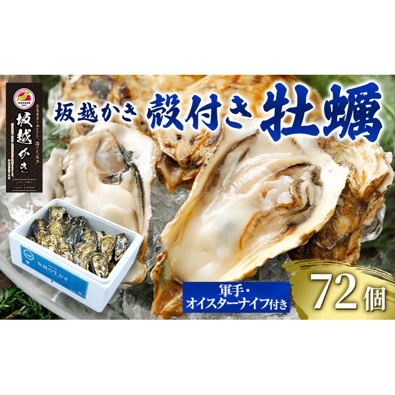 牡蠣 坂越かき 殻付き牡蠣 72個 軍手・オイスターナイフ付き[ 生牡蠣 かき カキ 殻付 生食 冬牡蠣 国産 ] 兵庫県 赤穂市