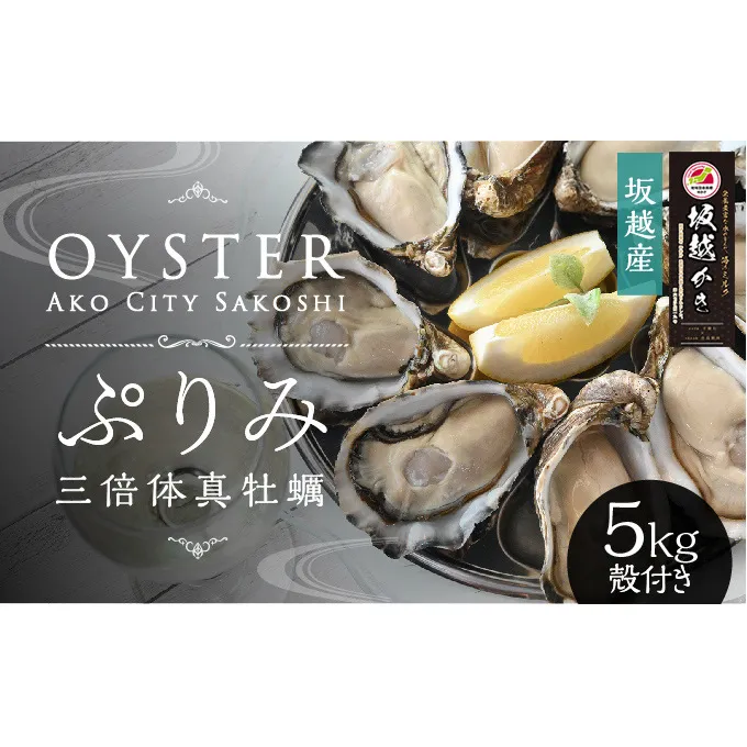 【数量限定】年中おいしい！生食用真牡蠣『ぷりみ』5kg(ナイフ付き) カキ マガキ かき 殻付き 赤穂 養殖 夏も食べられる