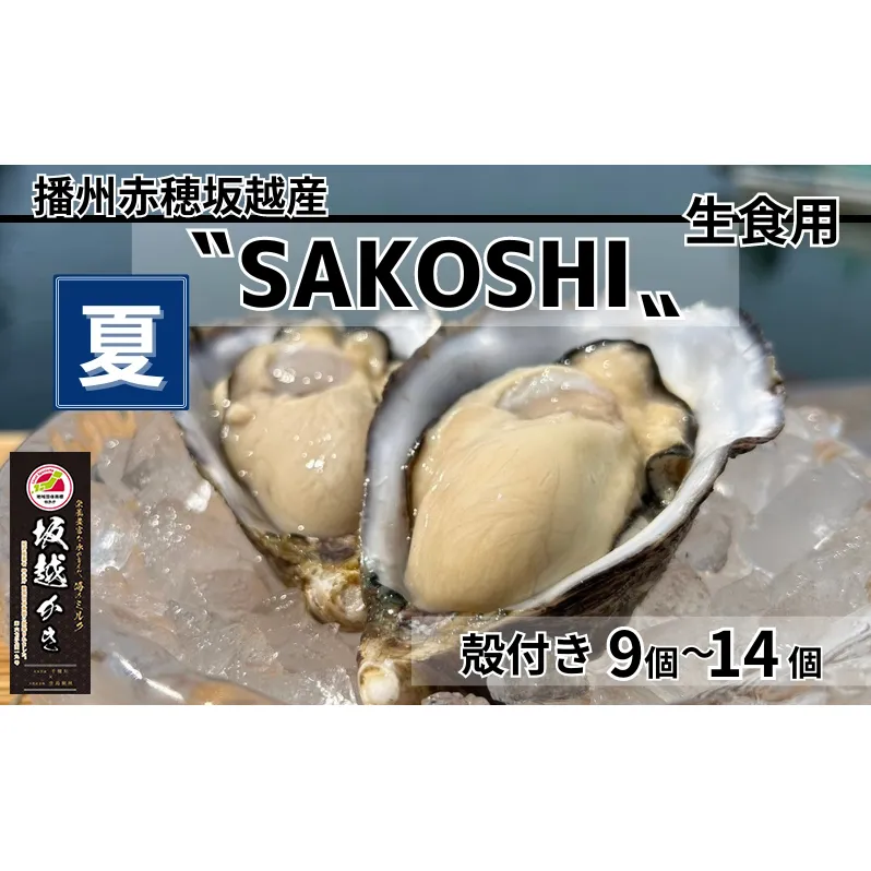牡蠣 SAKOSHI 生食用 殻付き 9個～14個 牡蠣ナイフ付き [ 坂越かき プレミアム 生牡蠣 夏牡蠣 かき カキ 三倍体 ]