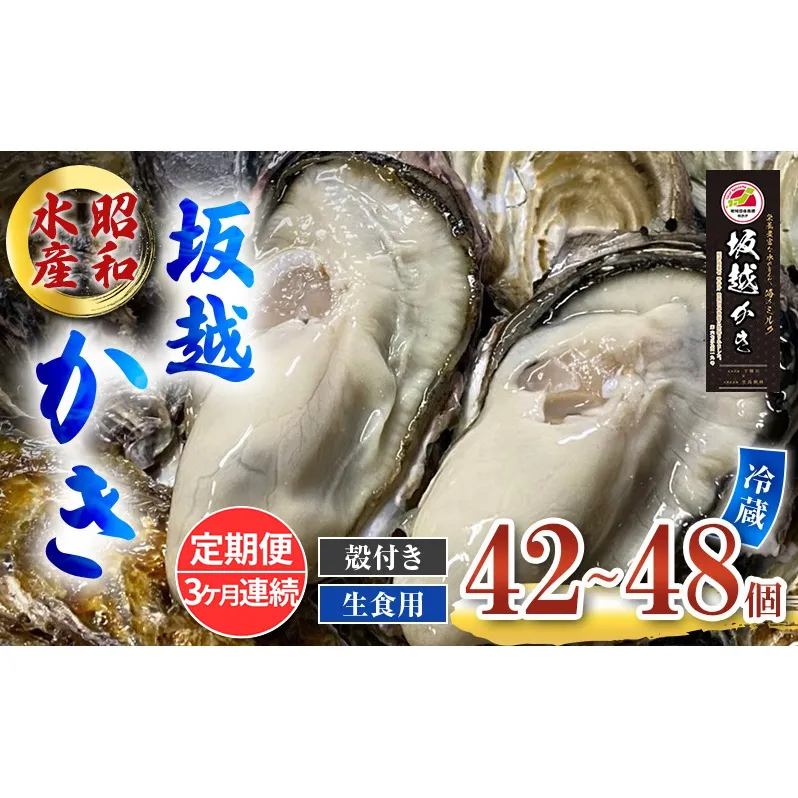 定期便 牡蠣 生食用 坂越かき 殻付き 42～48個《3ヶ月連続お届け》 昭和水産 [ 生牡蠣 真牡蠣 かき カキ 冬牡蠣 ]