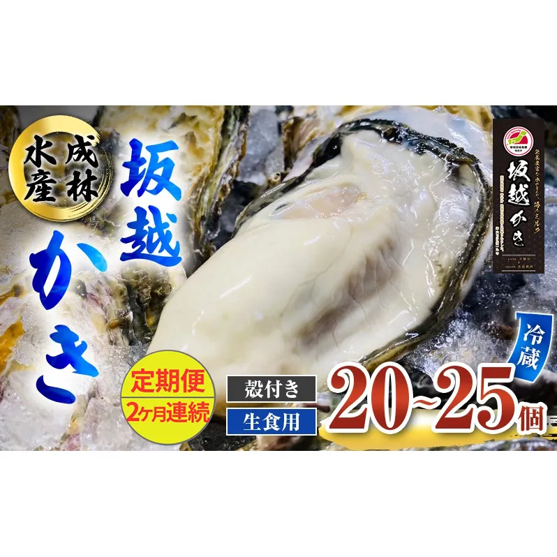 定期便 牡蠣 生食用 坂越かき 殻付き 20～25個《2ヶ月連続お届け》 成林水産 [ 生牡蠣 真牡蠣 かき カキ 冬牡蠣 ]
