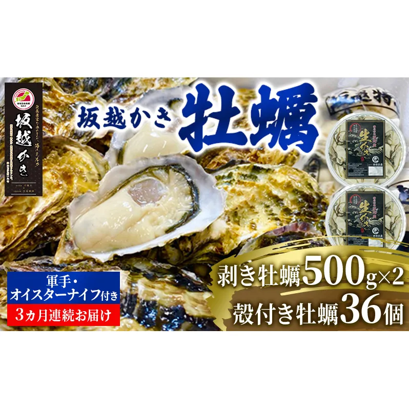 【発送月固定定期便】3ヶ月連続 坂越かき 剥き身500g×2 殻付き36個軍手・牡蠣ナイフ付全3回