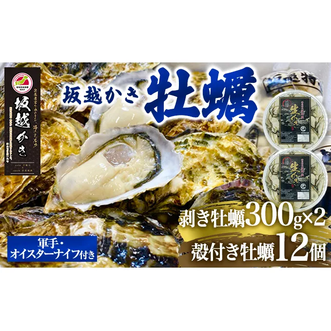  牡蠣 坂越かき 剥き牡蠣 300g×2、殻付き牡蠣 12個 軍手・オイスターナイフ付き[ 生牡蠣 かき カキ 生食 冬牡蠣 ] 魚貝類 剥き身 