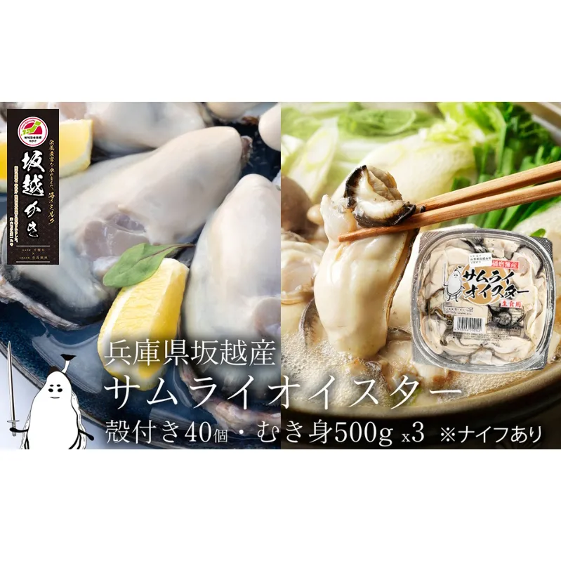 牡蠣 生食 坂越かき むき身 500g×3、 殻付き 40個(牡蠣ナイフ・軍手付き)サムライオイスター 生牡蠣 冬牡蠣 魚貝類 