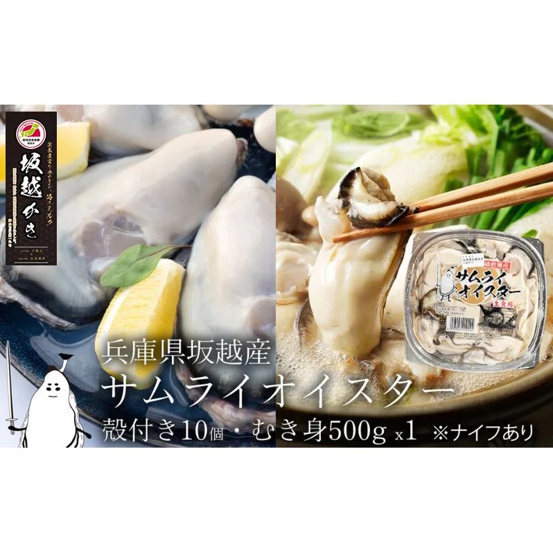 牡蠣 生食 坂越かき むき身 500g×1、 殻付き 10個(牡蠣ナイフ・軍手付き)サムライオイスター 生牡蠣 冬牡蠣 魚貝類 