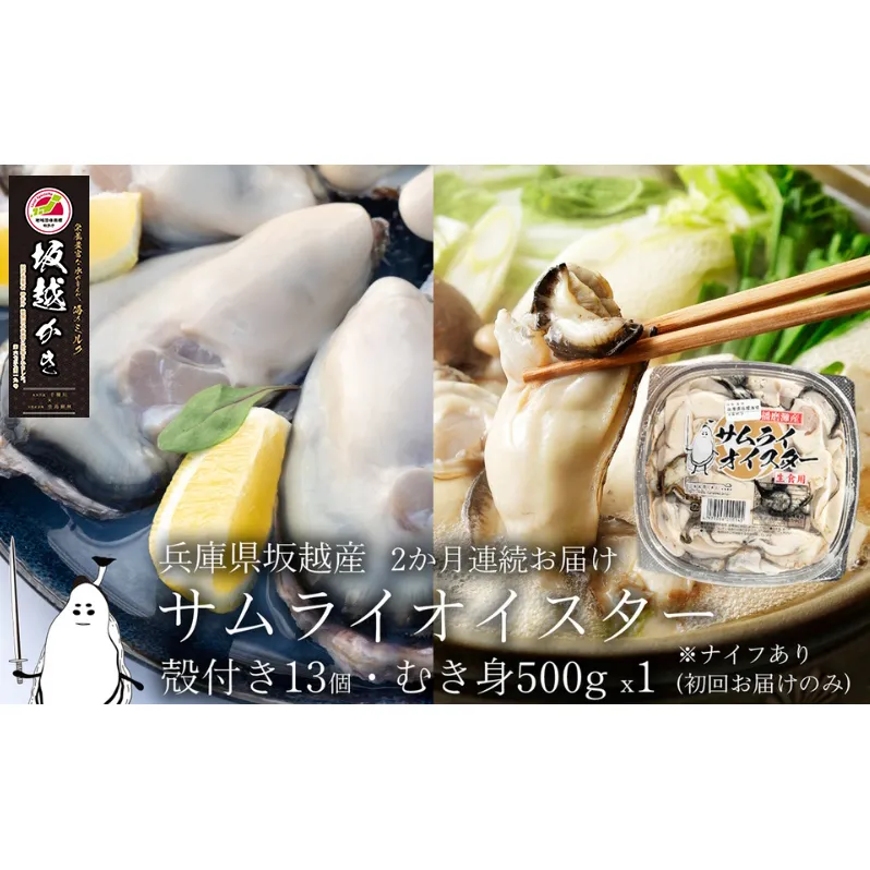 牡蠣 定期便 生食 坂越かき むき身 500g×1、 殻付き 13個(初回牡蠣ナイフ・軍手付き)2ヵ月連続お届け 生牡蠣 冬牡蠣 魚貝類 