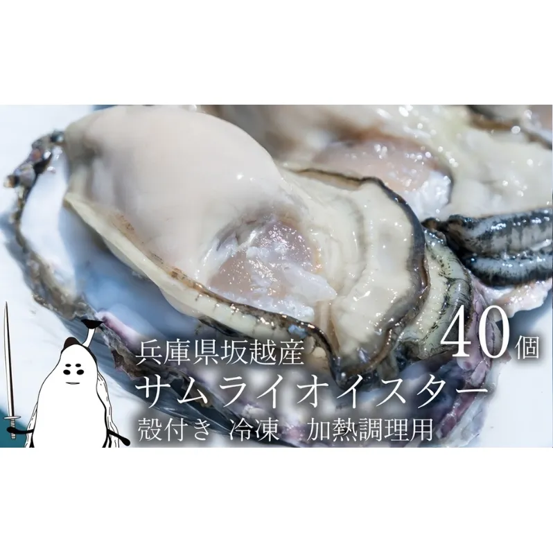 牡蠣 坂越かき 【冷凍】 殻付き 40個(加熱用)サムライオイスター 冬牡蠣 魚介類 カキ 加工食品 