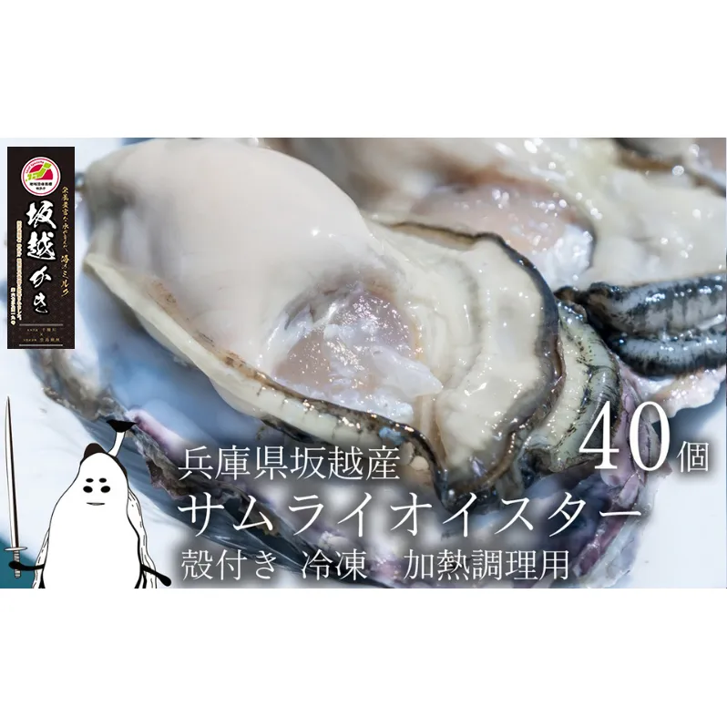 牡蠣 坂越かき 【冷凍】 殻付き 40個(加熱用)サムライオイスター 冬牡蠣 魚介類 カキ 加工食品 