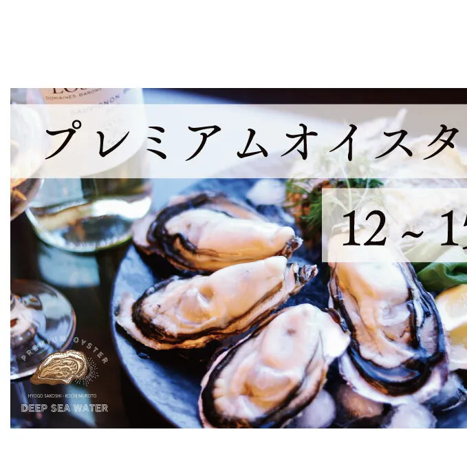 プレミアムオイスター 殻付き 牡蠣 12～15個入 兵庫県赤穂市 坂越 海洋深層水仕込 最高級牡蠣 生食用 旅する牡蠣　 魚貝類 生牡蠣 かき 