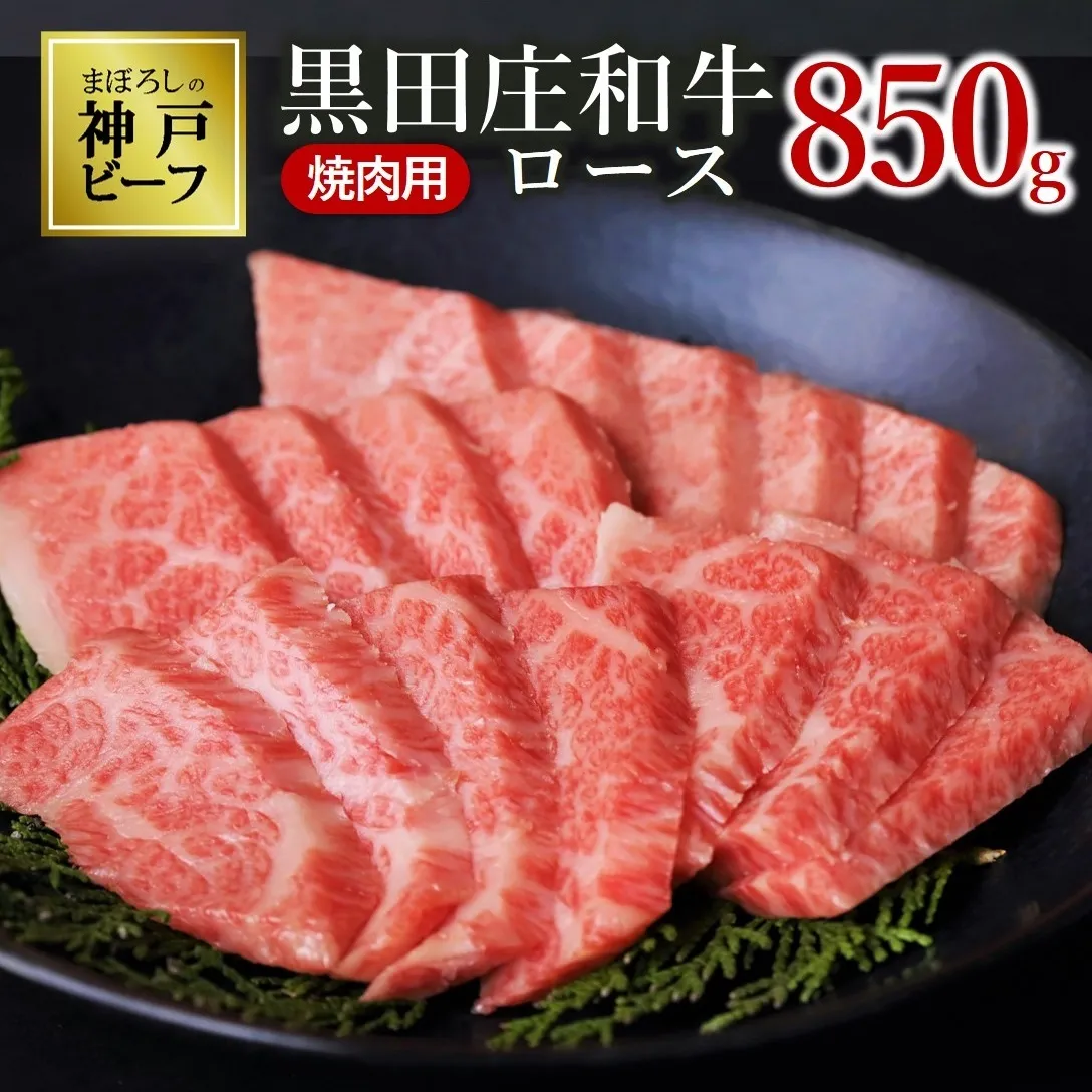 【最短7営業日発送】【幻の神戸ビーフ】特選 黒田庄和牛（焼肉用ロース、850g）≪冷蔵≫（50-4）