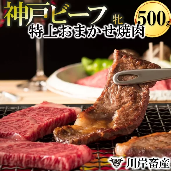 【神戸牛/神戸ビーフ】特上 焼肉 おまかせセット（500g）