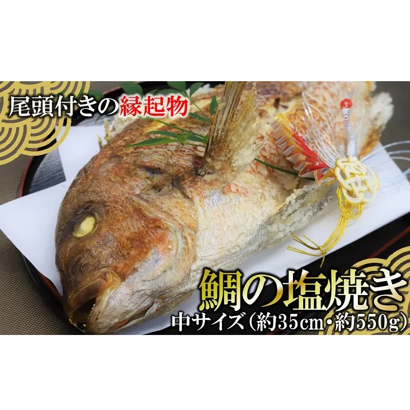 【尾頭付きの縁起物】 活塩焼き鯛（中サイズ） 1匹（約35cm・約550g）22-67