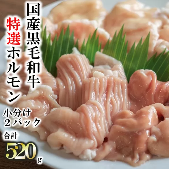 【国産黒毛和牛】特選ホルモン520ℊ　260g×2パック 小分け