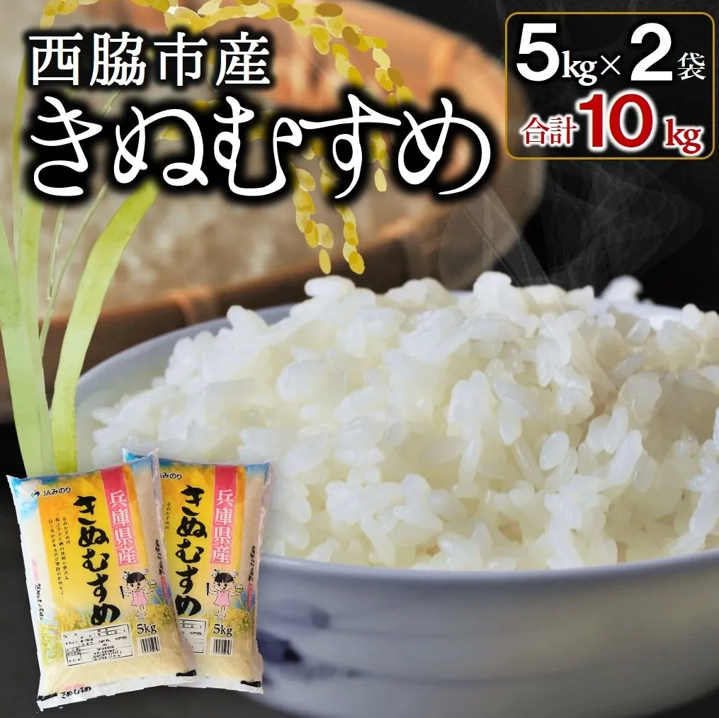 西脇市産【ブランド米 きぬむすめ】10kg（精米5kg×2）(19.5-3
