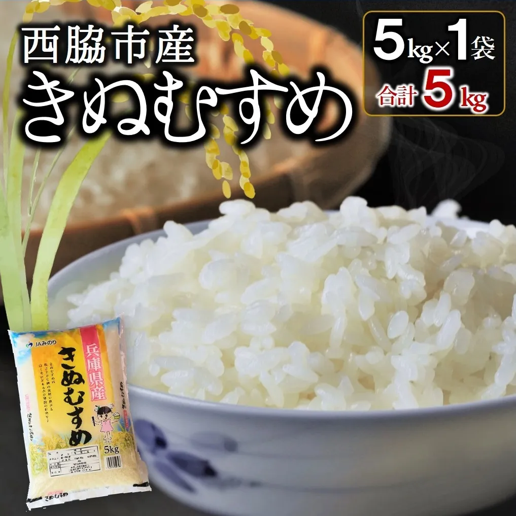 西脇市産【ブランド米 きぬむすめ】精米5kg（5kg×1）(10-104)
