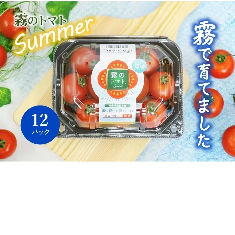 【霧で育てた濃厚な味】霧のトマトSummer 200g×12パック(16-18)