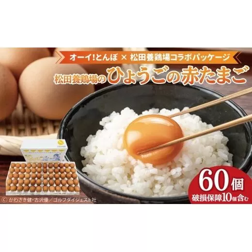 【オーイ！とんぼ×松田養鶏場コラボパッケージ】産地直送  松田養鶏場のひょうごの赤たまご60個（50個+割れ補償10個）【北海道・沖縄・離島 配送不可】