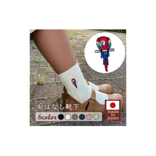 おはなし靴下 ギフトボックス アカコンゴウインコ キッズ アイボリー