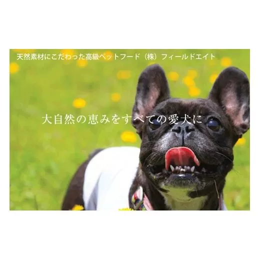 犬のおやつ 大袋4点セット