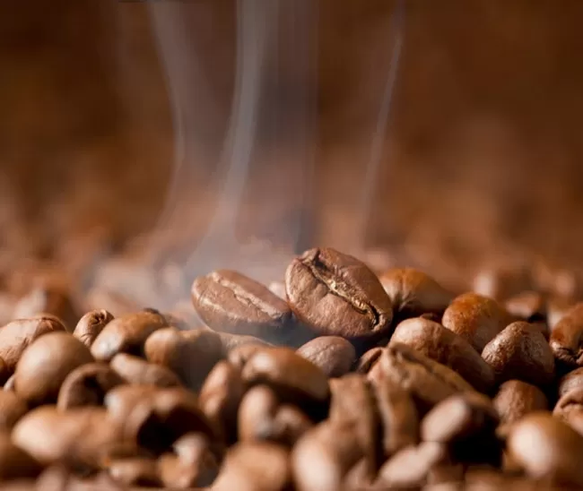 バランタイン自家焙煎コーヒー豆1.8kg（豆のまま）「12か月連続お届け」【北海道・沖縄・離島　配送不可】