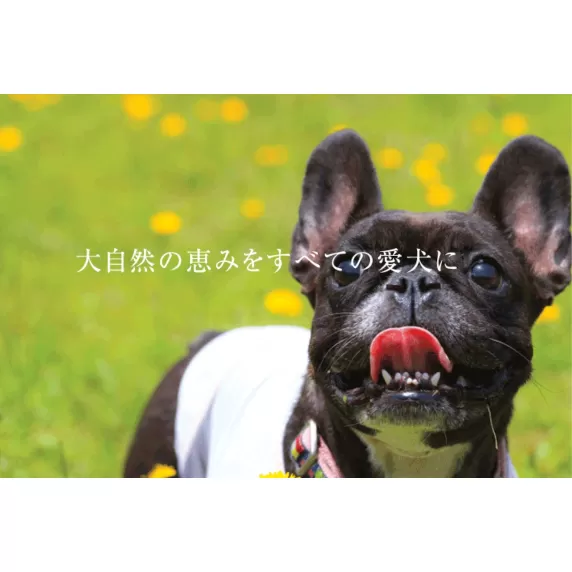犬のおやつ 大袋4点セット