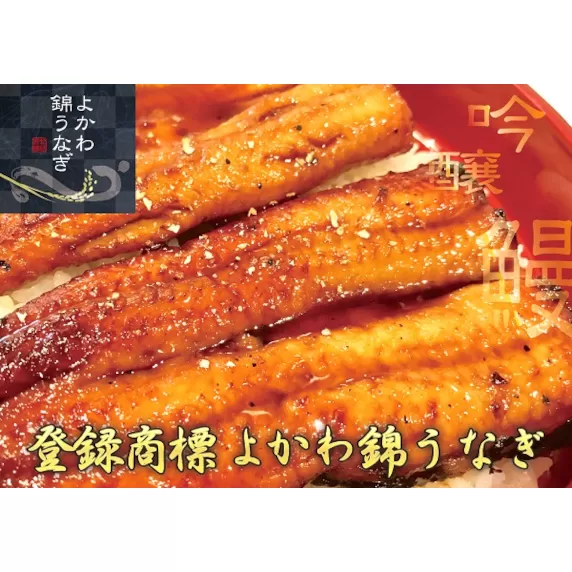 国産よかわ錦うなぎ蒲焼き 約２５０ｇ タレ・山椒つき　〜山田錦で育った吟醸鰻〜