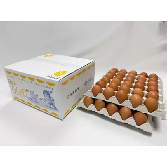 【オーイ！とんぼ×松田養鶏場コラボパッケージ】産地直送  松田養鶏場のひょうごの赤たまご60個（50個+割れ補償10個）