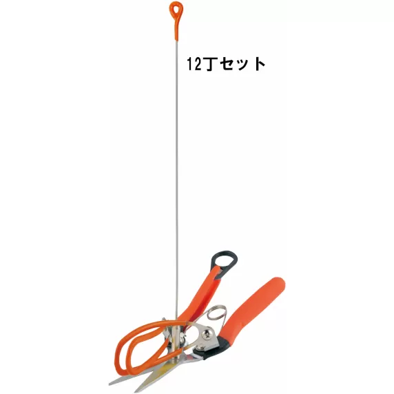 アスパラ収獲鋏12丁セット