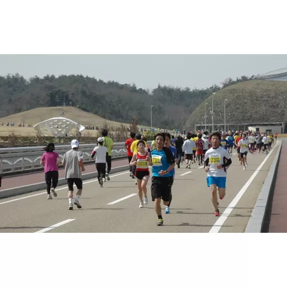 みっきぃふれあいマラソン出場権