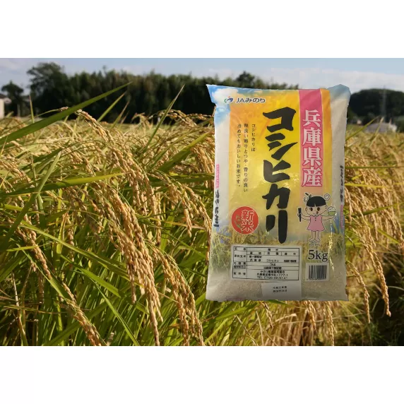 コシヒカリ精米10kg