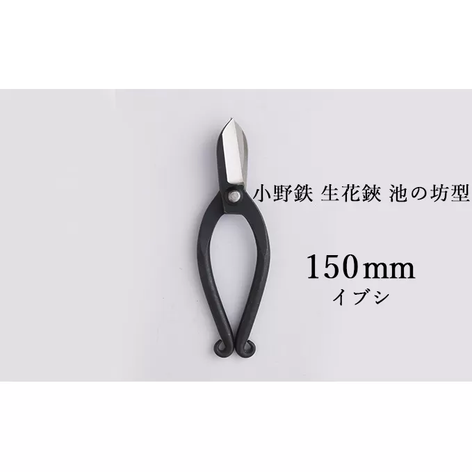 小野鉄 生花鋏 池の坊型 150mm イブシ 雑貨 日用品 植物 ハサミ はさみ 