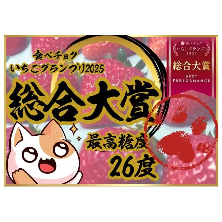 大粒いちご 12粒入りセット [ いちご イチゴ 苺 フルーツ 果物 新鮮 糖度 ] 果物類 