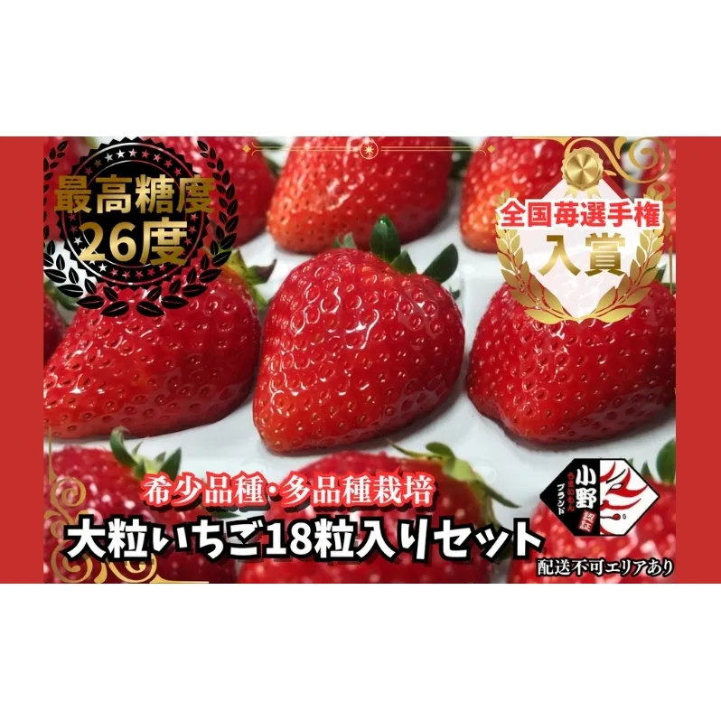 いちご 18粒入りセット[ イチゴ 苺 フルーツ 果物 新鮮 糖度 ] 果物類 大粒 