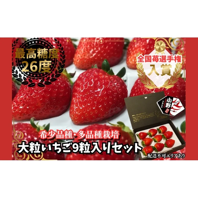 特大粒いちご 9粒入りセット[ いちご イチゴ 苺 大粒 フルーツ 果物 新鮮 糖度 ] 果物類 