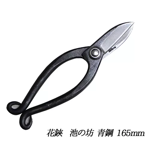 飛鳥 池の坊 花鋏 5.5寸（165mm）青鋼 生け花 生花 花切りバサミ ハサミ 民芸品 工芸品 伝統技術 刃物 鋼付 切りやすい 