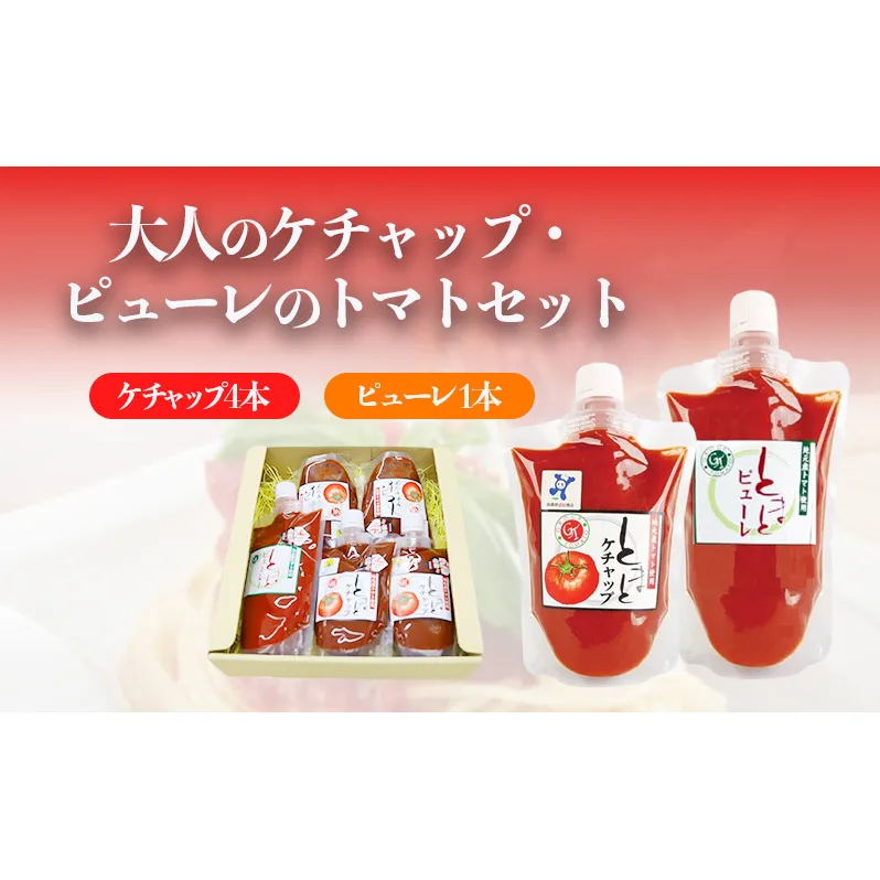 おとなのケチャップ・ピューレのトマトセット 加工食品 調味料 