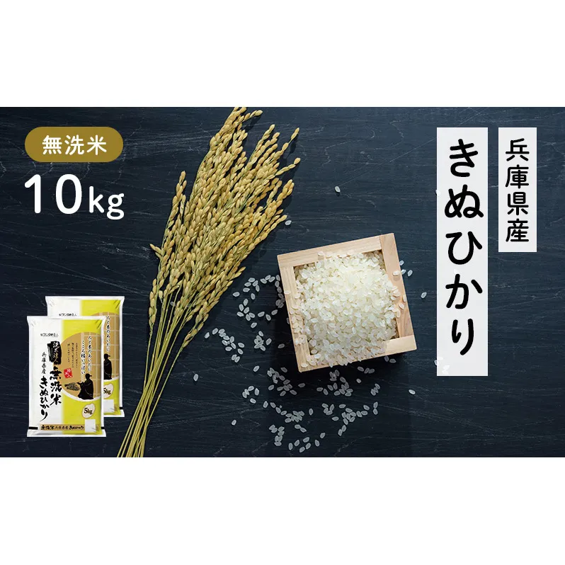 兵庫県産 キヌヒカリ 無洗米 10kg ( 5kg × 2袋 ) [ お米 米 おいしい きぬひかり 兵庫県 小野市 ] 精米 白米 ご飯 手間いらず 白さ 輝き 絹 粘り さっぱり 甘み お弁当 
