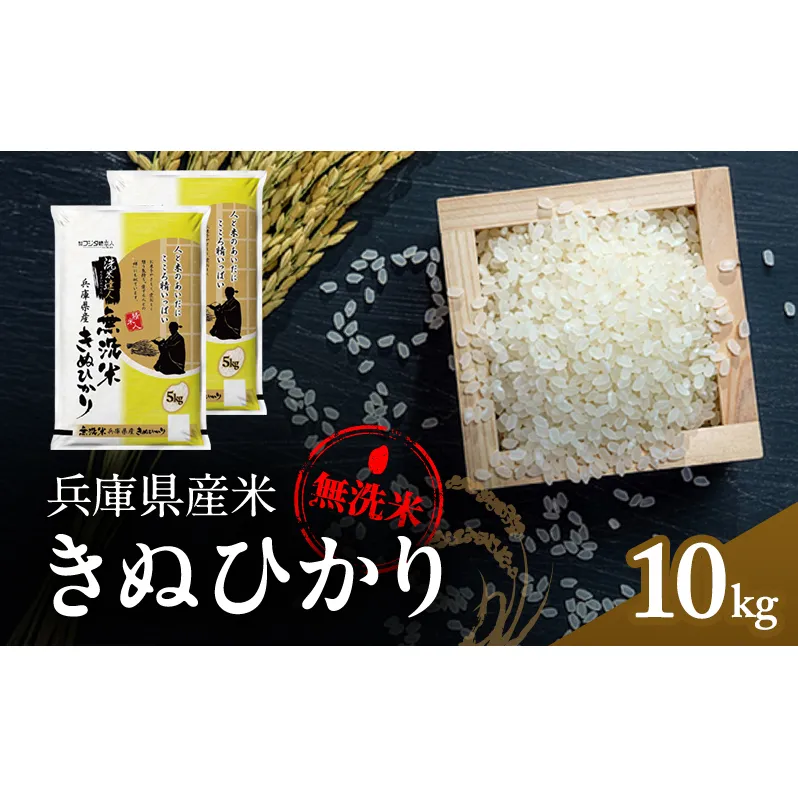 兵庫県産 キヌヒカリ 無洗米 10kg ( 5kg × 2袋 ) [ お米 米 おいしい きぬひかり 兵庫県 小野市 ] 精米 白米 ご飯 手間いらず 白さ 輝き 絹 粘り さっぱり 甘み お弁当