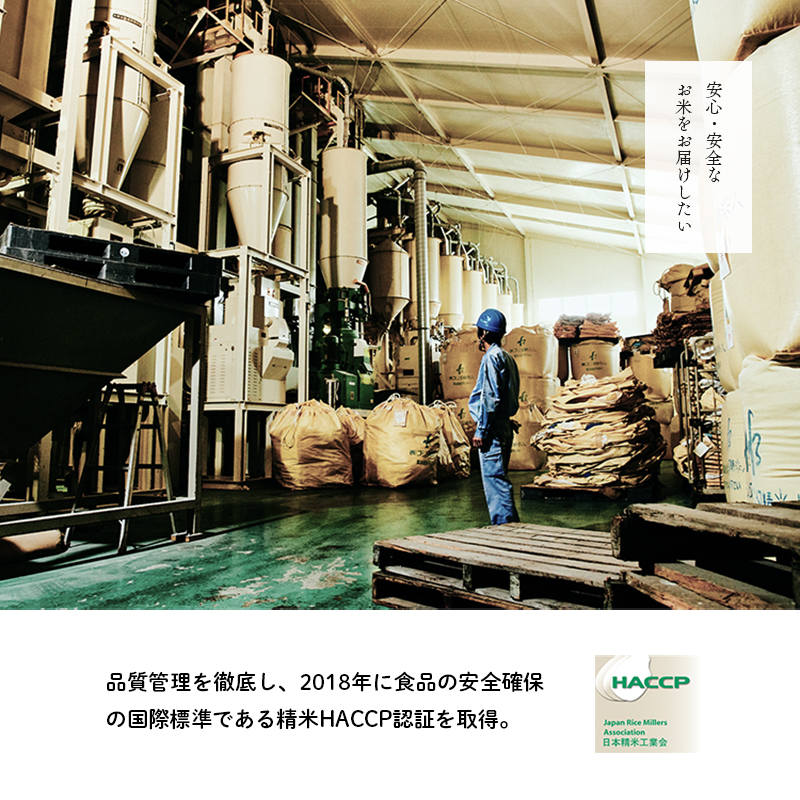 令和5年産 ラスト3袋SALE 米専用保冷庫保管の令和5年産
