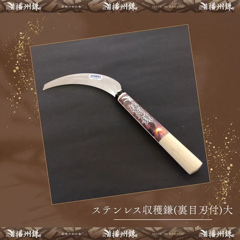 ガーデニング 播州鎌 ステンレス 収穫鎌 裏目刃付 大 「180044」 野菜収穫 刃物 鎌 野菜切り鎌 切り出し鎌 株切り鎌 菜切り鎌 草刈り鎌 草刈り 剪定 刃 ツール 道具 庭 家庭菜園 園芸 園芸用品 ガーデニング用品 兵庫 兵庫県 小野市