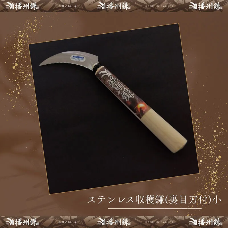 ガーデニング 播州鎌 ステンレス 収穫鎌 裏目刃付 小 「180045」 野菜収穫 刃物 鎌 小鎌 野菜切り鎌 切り出し鎌 株切り鎌 菜切り鎌 草刈り鎌 草刈り 剪定 刃 ツール 道具 庭 家庭菜園 園芸 園芸用品 ガーデニング用品 兵庫 兵庫県 小野市