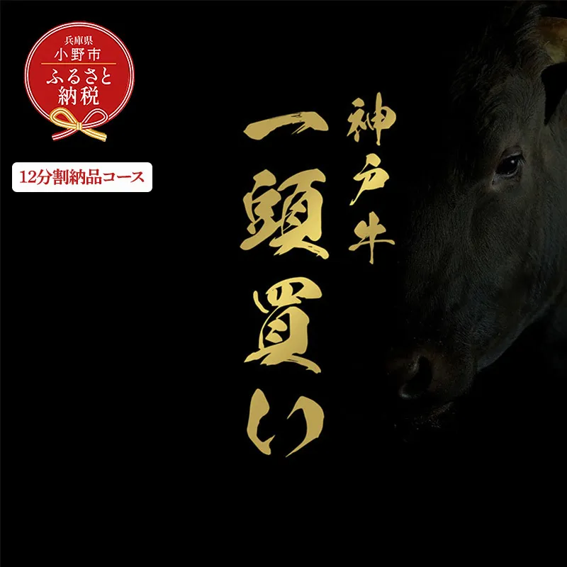 【和牛セレブ】神戸牛一頭分のセレブ体験（12分割納品コース）/ 神戸ビーフ BBQ 牛肉 冷凍 ブランド牛 兵庫県 小野市