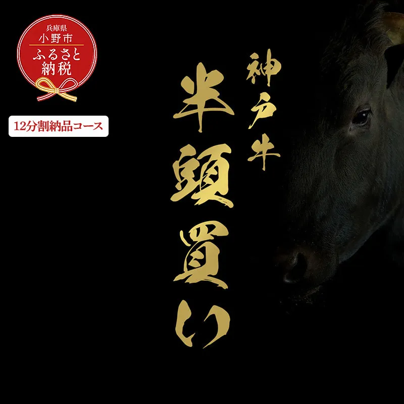 【和牛セレブ】神戸牛半頭分のセレブ体験（12分割納品コース）/ 神戸ビーフ BBQ 牛肉 冷凍 ブランド牛 兵庫県 小野市