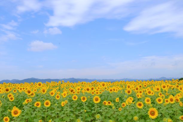 兵庫県小野市