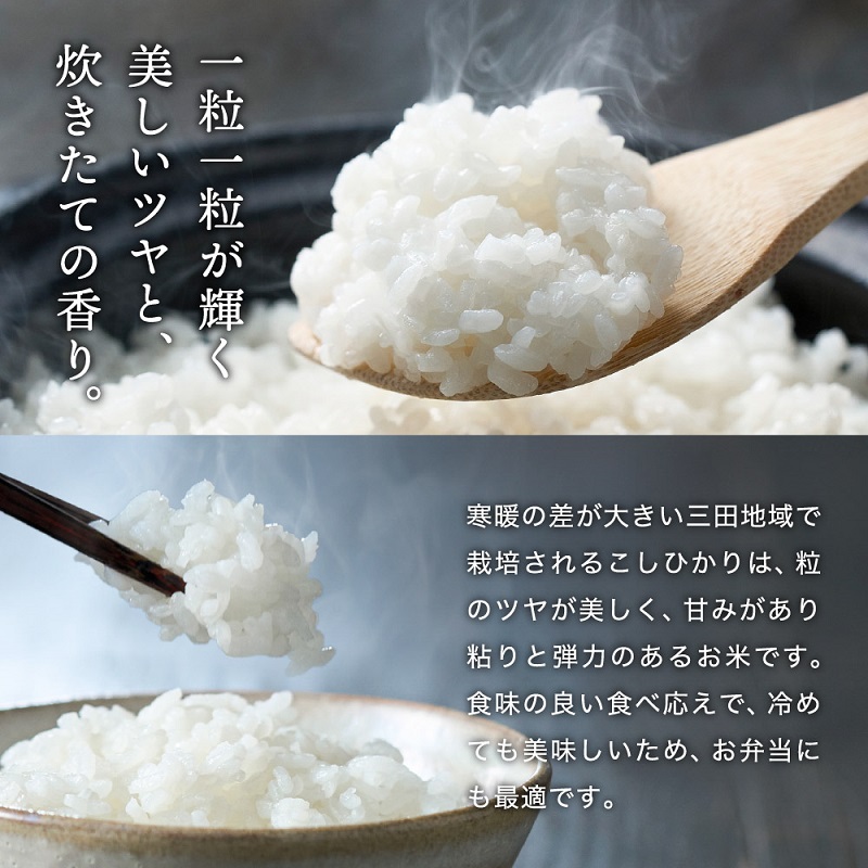 予約受付開始】【令和7年度産】 三田米 コシヒカリ ( 5kg )米 予約受付開始】【令和7年度産】 三田米 コシヒカリ ( 5kg )米