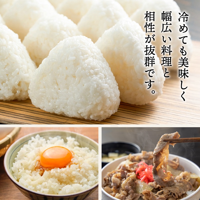 予約受付開始】【令和7年度産】 三田米 コシヒカリ ( 5kg )米 予約受付開始】【令和7年度産】 三田米 コシヒカリ ( 5kg )米